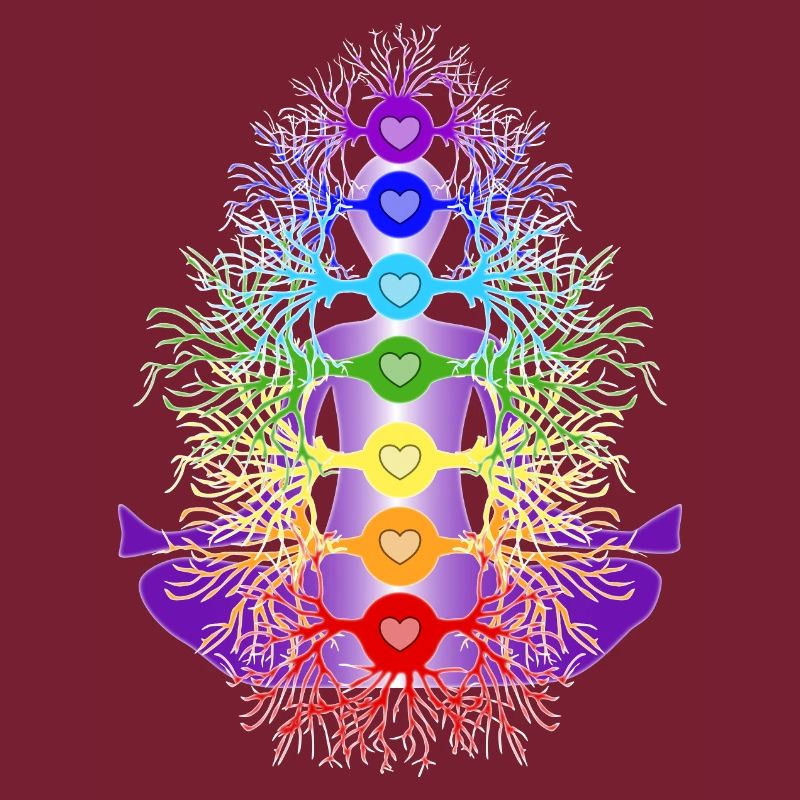 Chakras with their roots