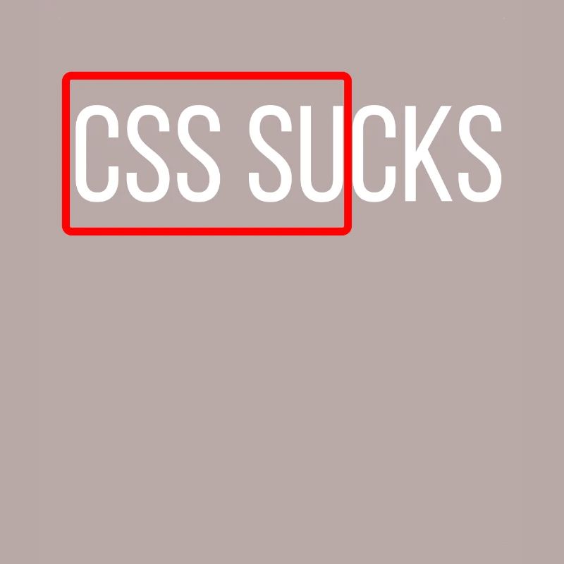 CSS sucks CSS programming funny programmers
