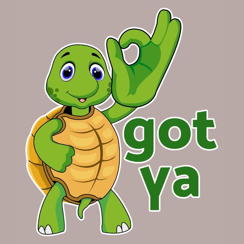 turtle turtle testudines toad