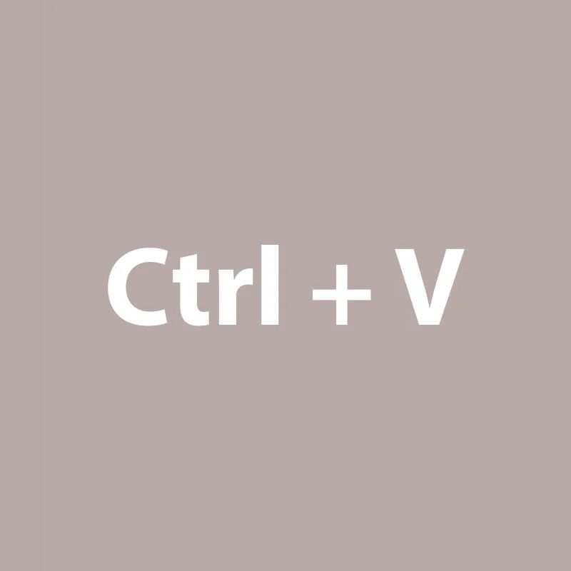 Ctrl C Ctrl V Copy Paste Twins