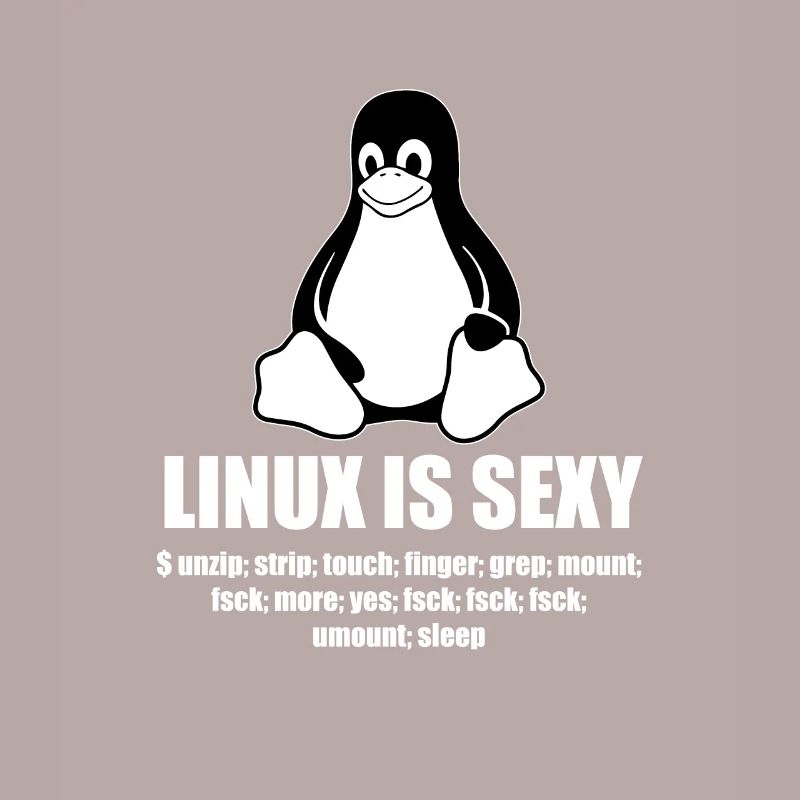 Linux Root SUDO Unix Shell Sexy cadeau drôle