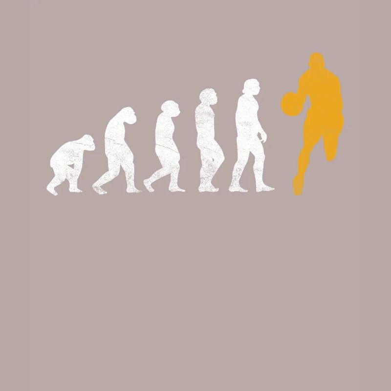 Evolution du basket