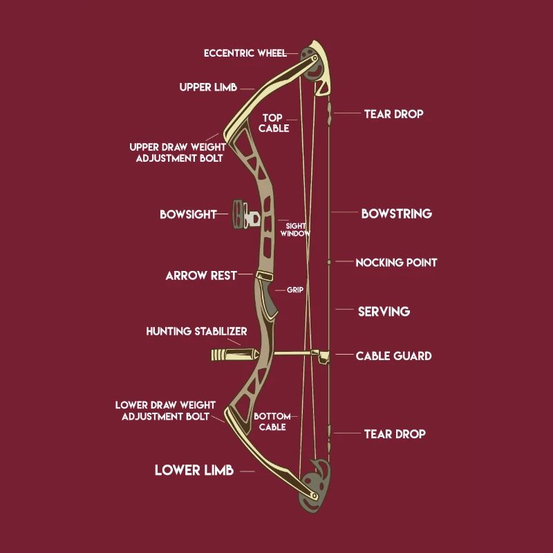 Anatomie eines Bogens | Bogensport Compound Pfeil