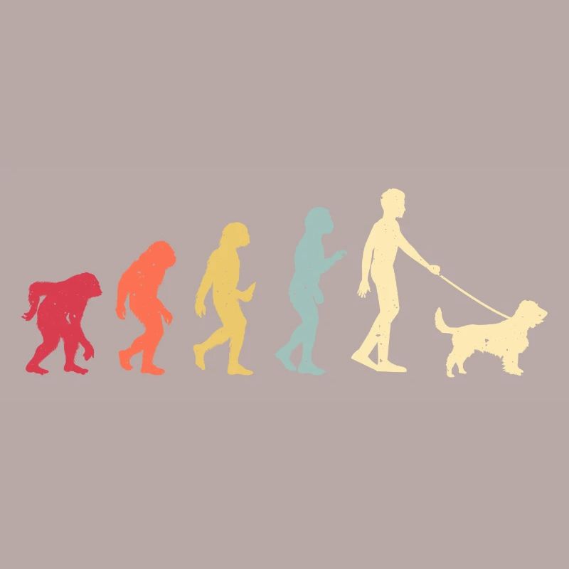 Feldspaniel Evolution Retro Vintage