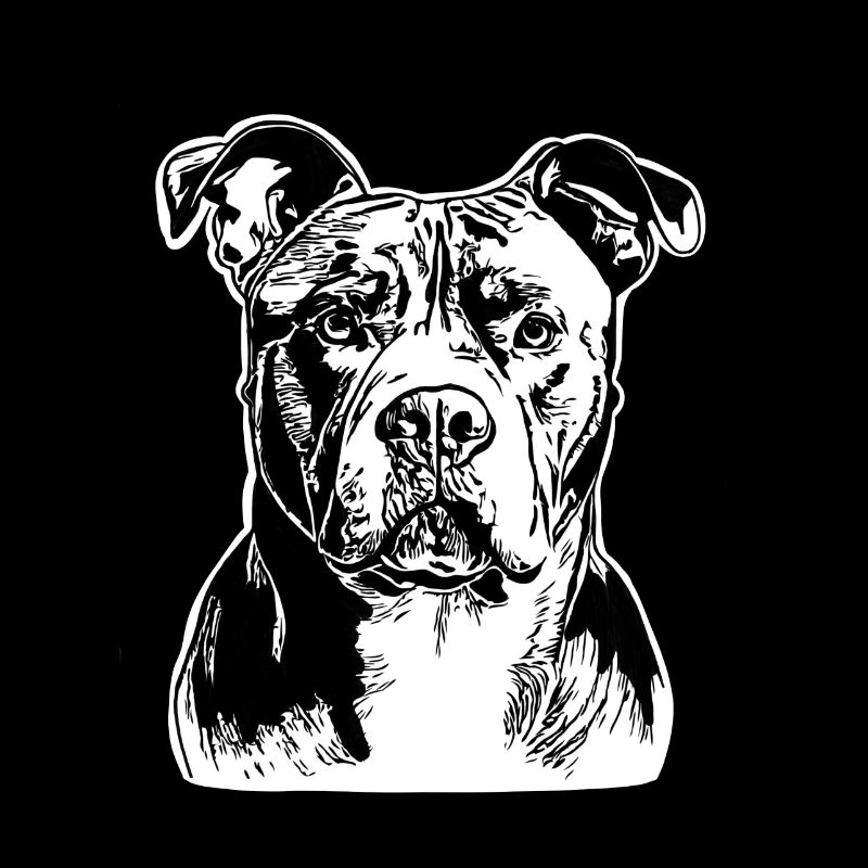 Pitbull