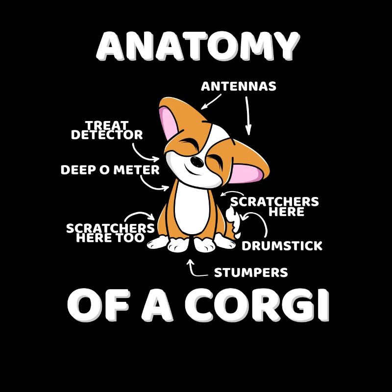 Lustige Anatomie eines Corgis
