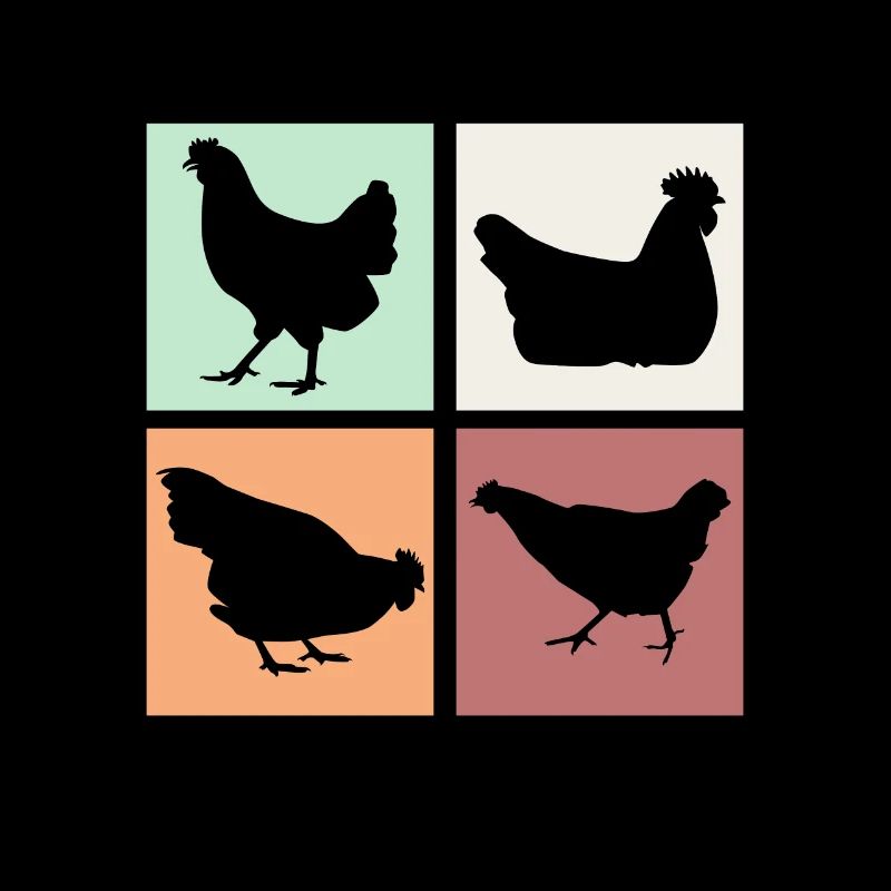 Chicken Chickens