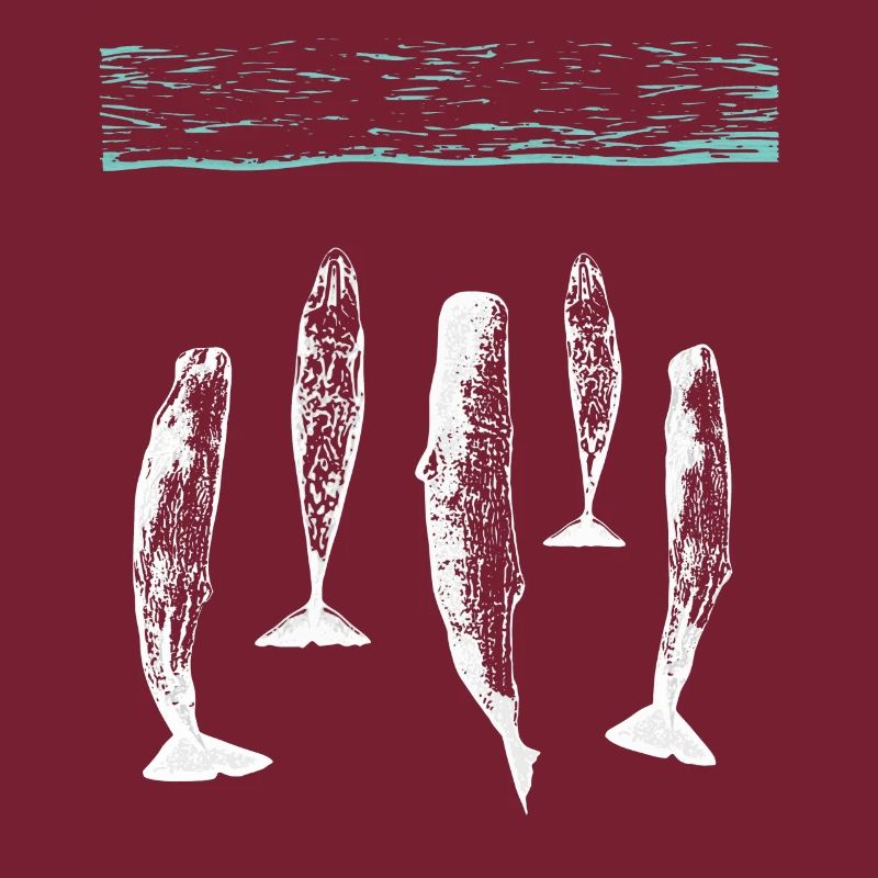 spermwhale plain white