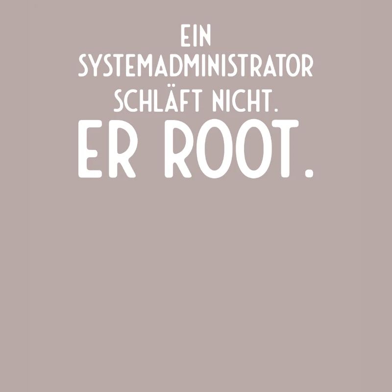 Informatiker Admin EDV
