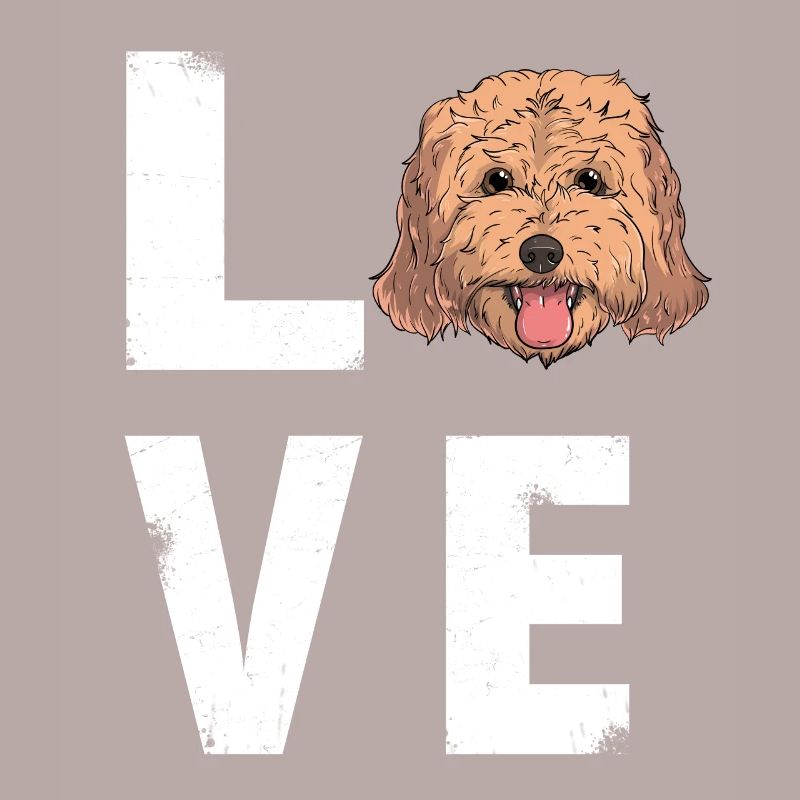 Liebe Cockapoo Hund