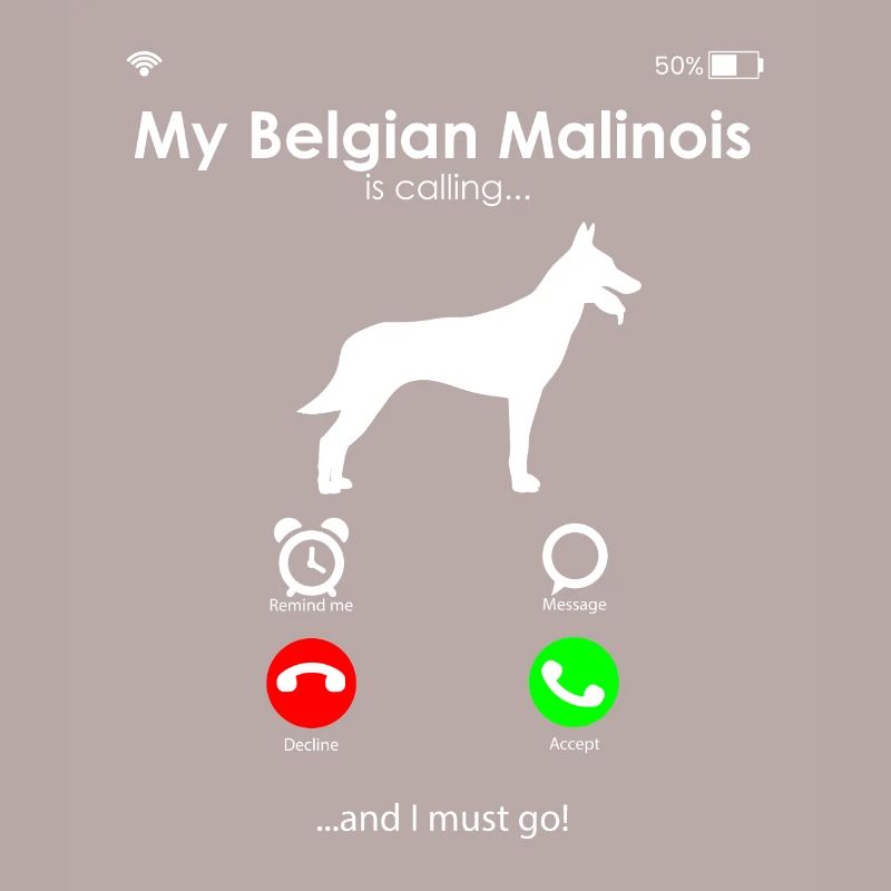 Malinois Belgischer Schäferhund