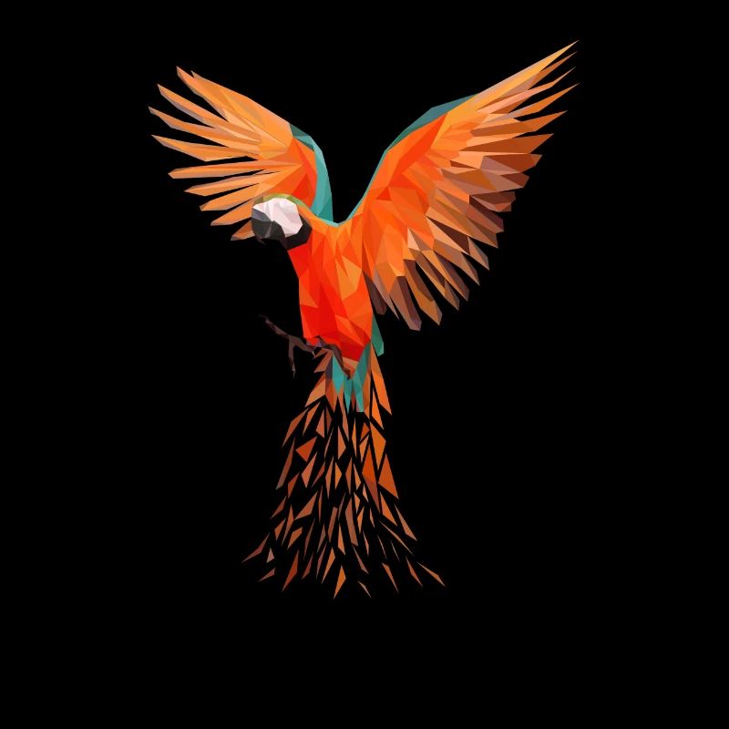 Perroquets aras colorés - conception d’oiseau moderne