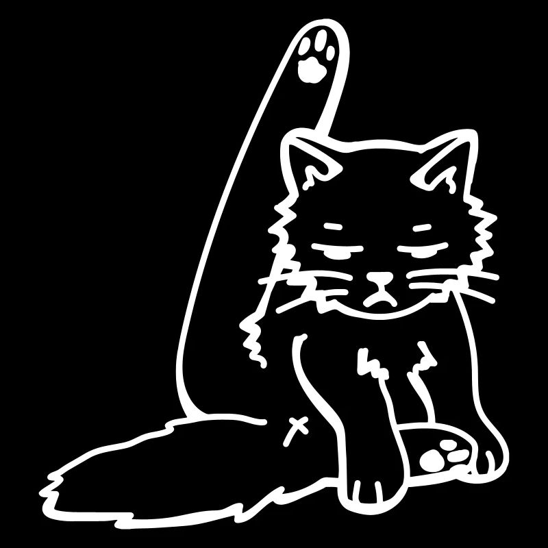 Cat dressing up / Grumpy cat cleanig