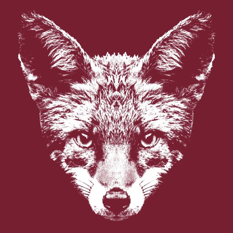 Fuchs / Fox / Kopf / Rotfuchs