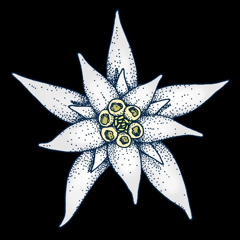Edelweiss Alpine flower