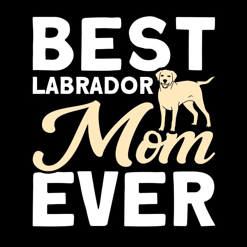 Pet Labrador Mama Dog Labrador