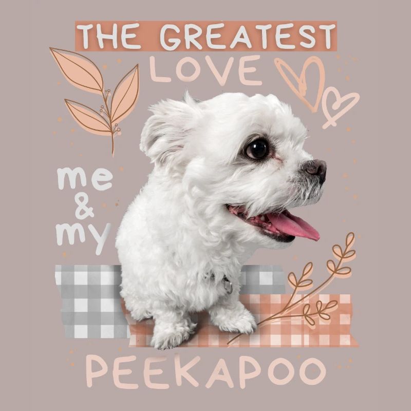 Peekapoo, dog, funny saying