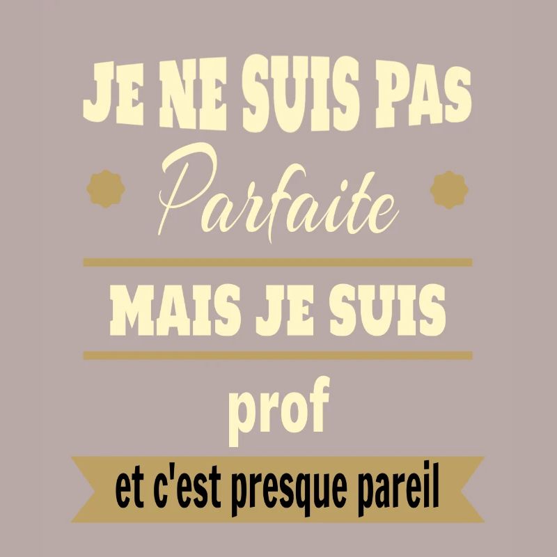 Pas parfaite mais prof professeure humour