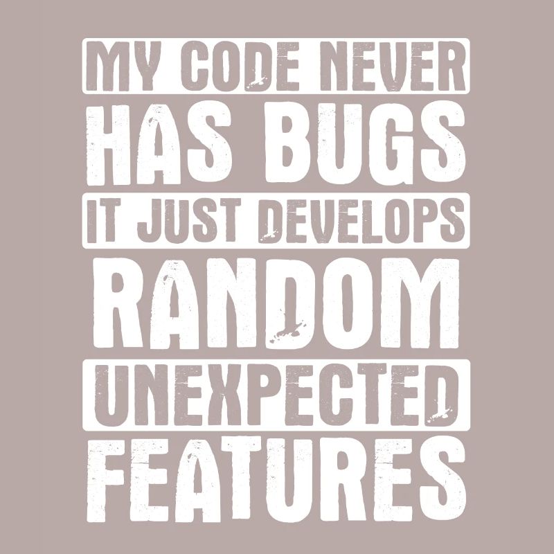 Software Ingenieur Informatiker Programmierer