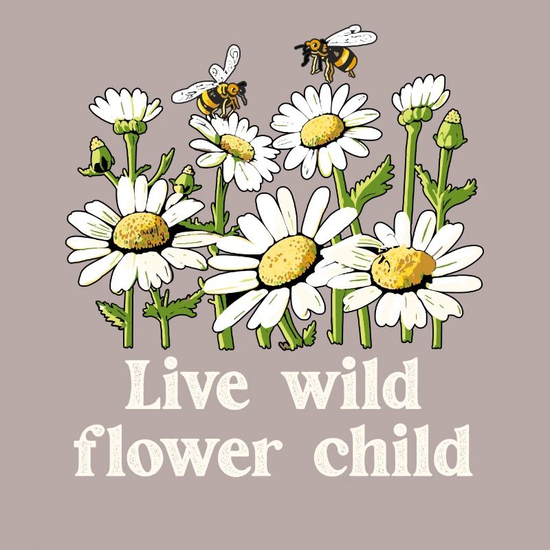 Margeriten Gänseblümchen Sommer Gänseblümchen Blumengarten