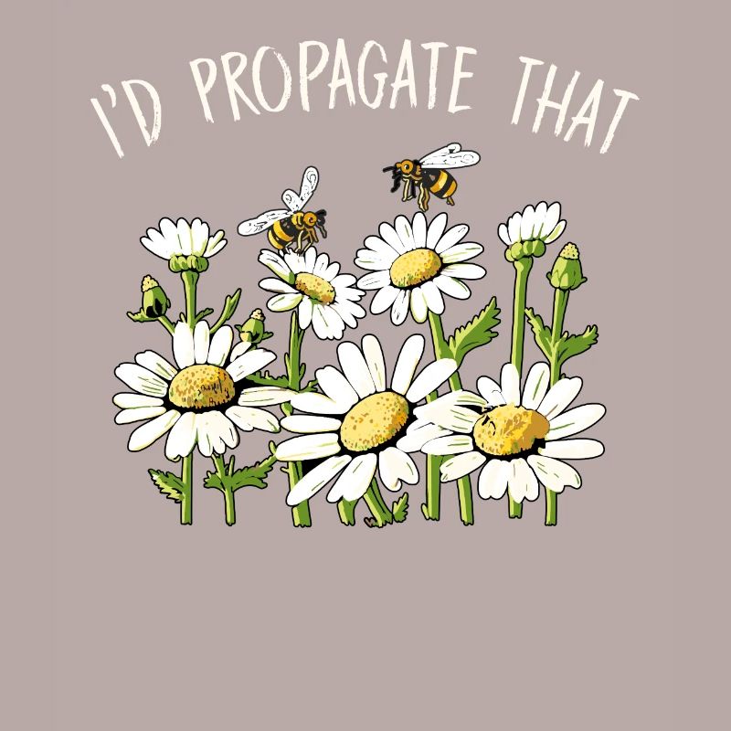 Margeriten Gänseblümchen Sommer Gänseblümchen Blumengarten