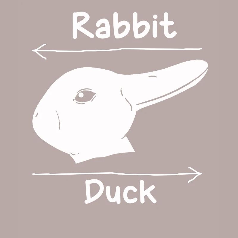 Wittgensteins Rabbit Duck Illusion