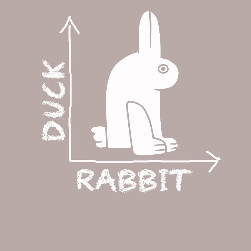 Wittgensteins Rabbit Duck Illusion