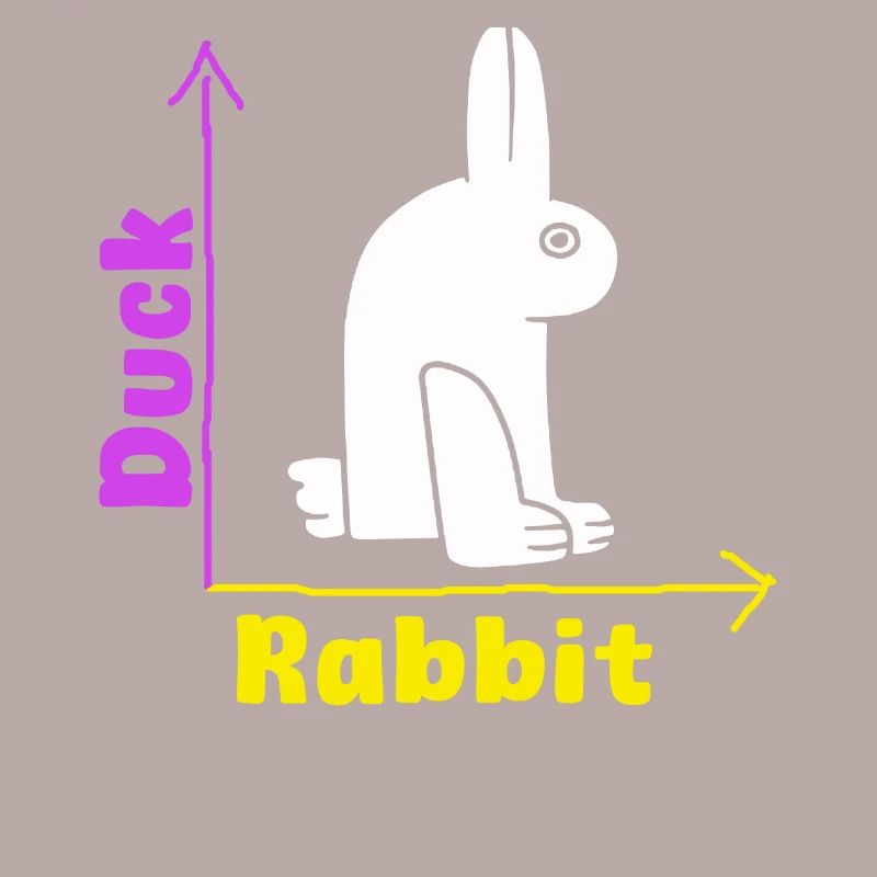 Wittgensteins Rabbit Duck Illusion