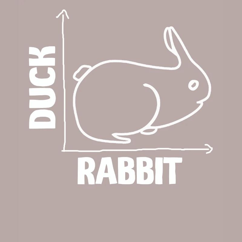 Wittgensteins Rabbit Duck Illusion