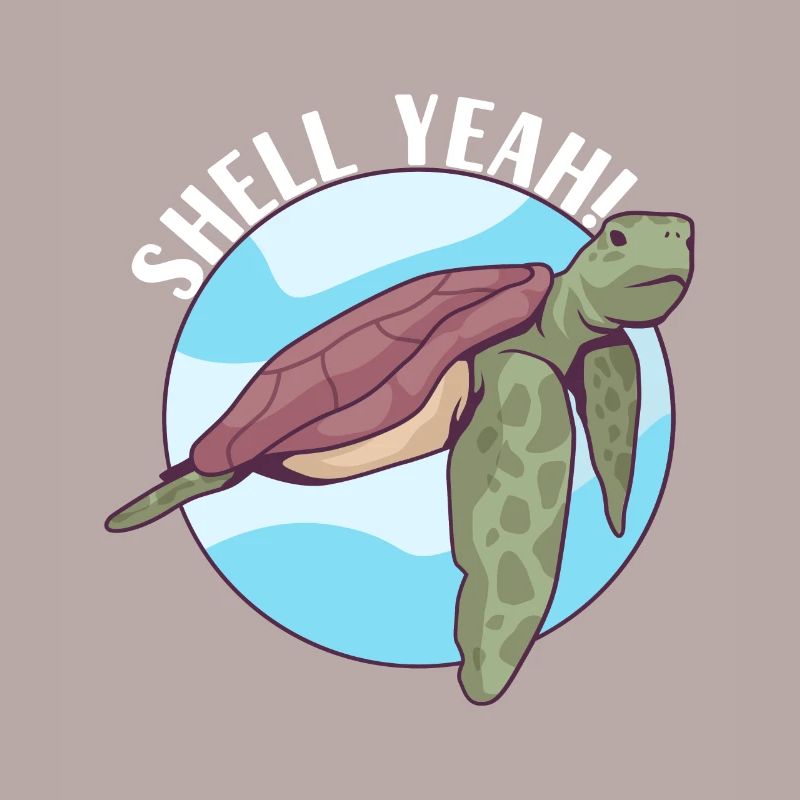 Turtle Turtle Aquatic turtle