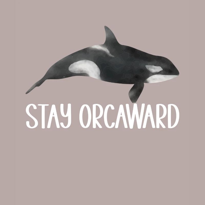 Wale Walbeobachter Orca