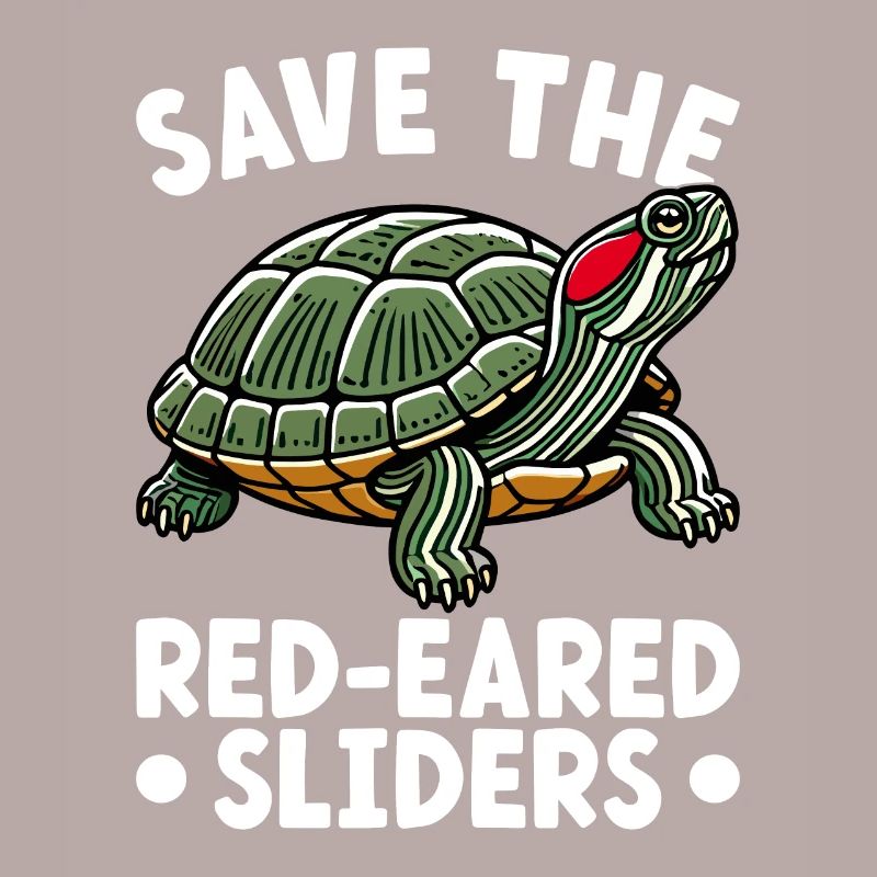 Turtle Red-eared Turtle