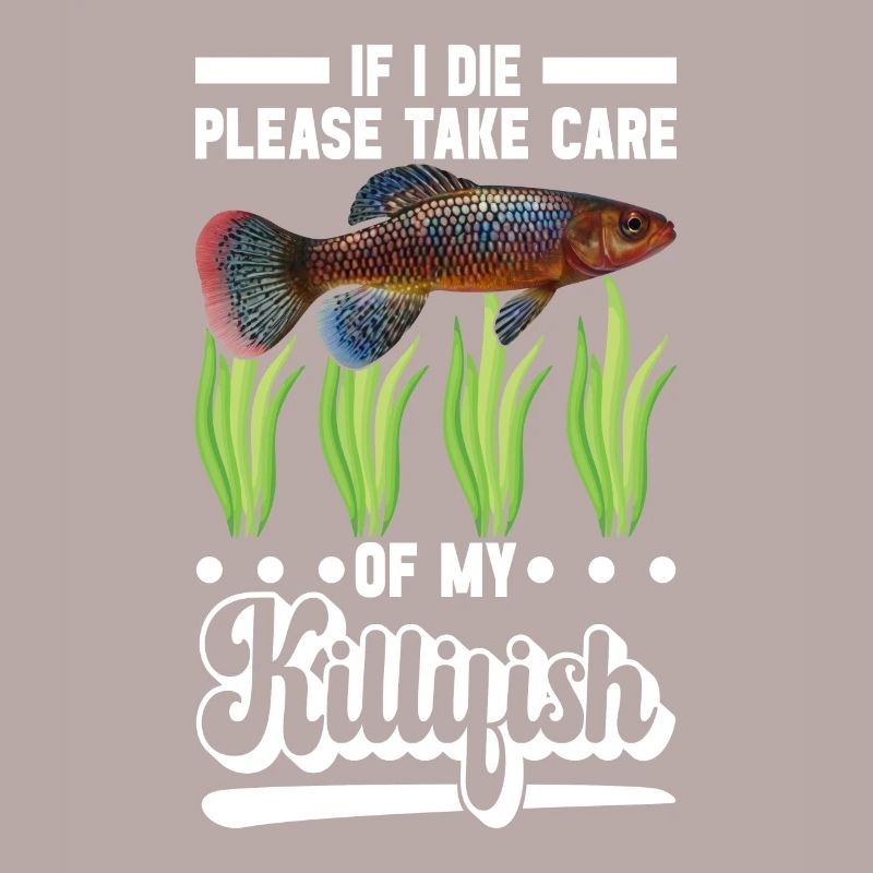 Killifish Quarium Fish