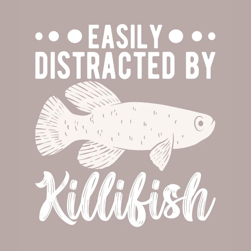 Killifish Quarium Fish