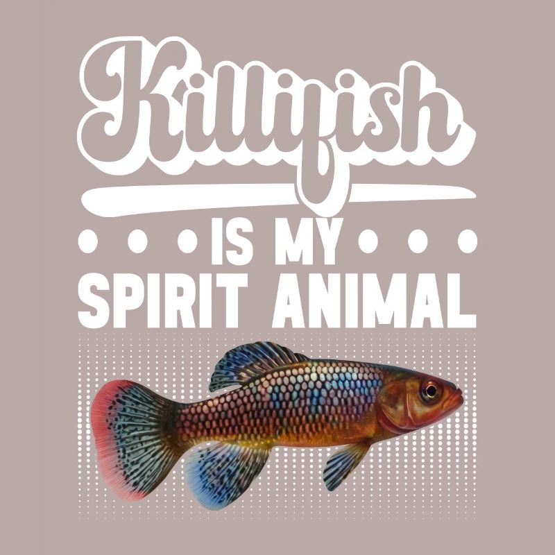 Killifish Quarium Fish