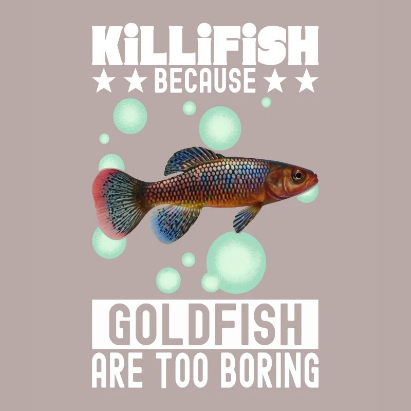 Killifish Quarium Fish