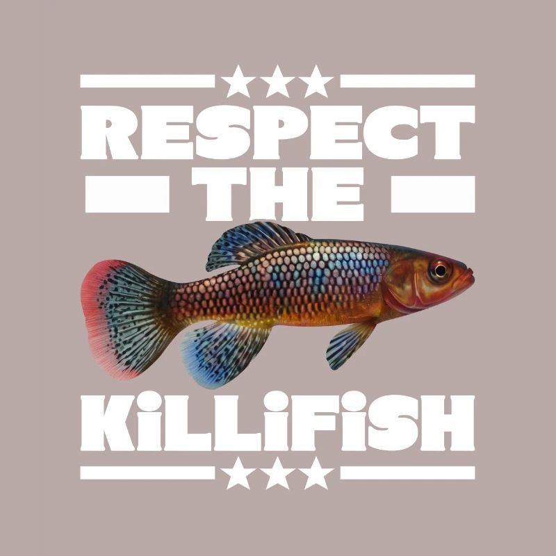 Killifish Quarium Fish