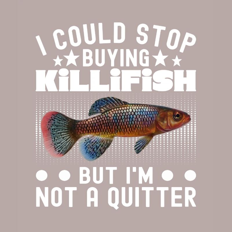 Killifish Quarium Fish