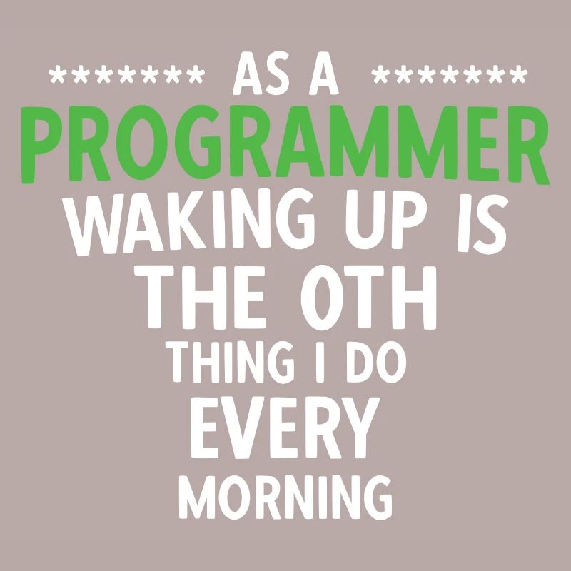 Software Ingenieur Informatiker Programmierer