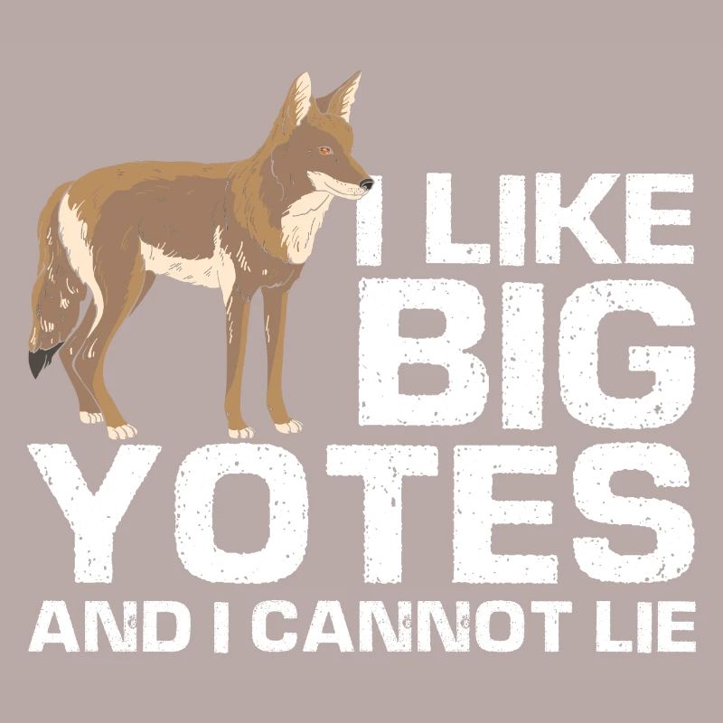 Conception de coyote pour les réacteurs de coyote