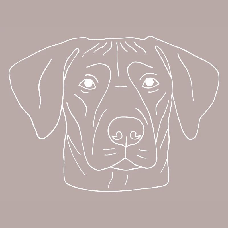 Rhodesian Ridgeback