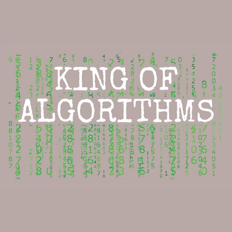 Software Ingenieur Informatiker Programmierer