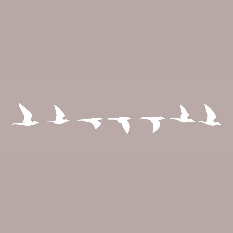 Bird flight path all white