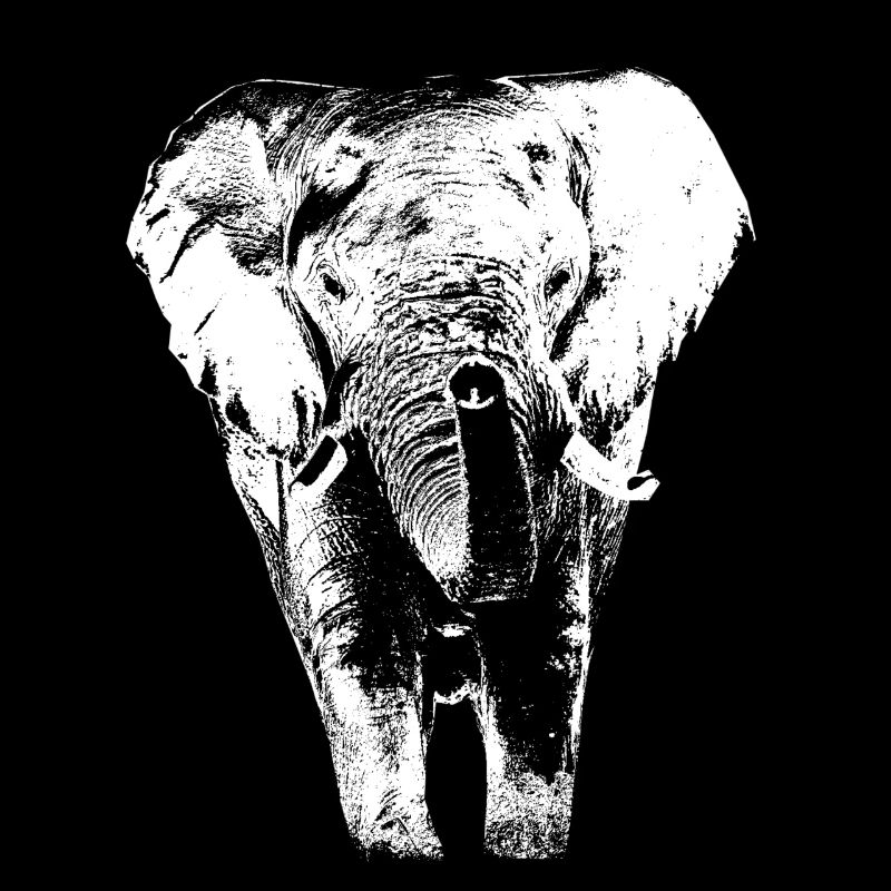 Elefant1