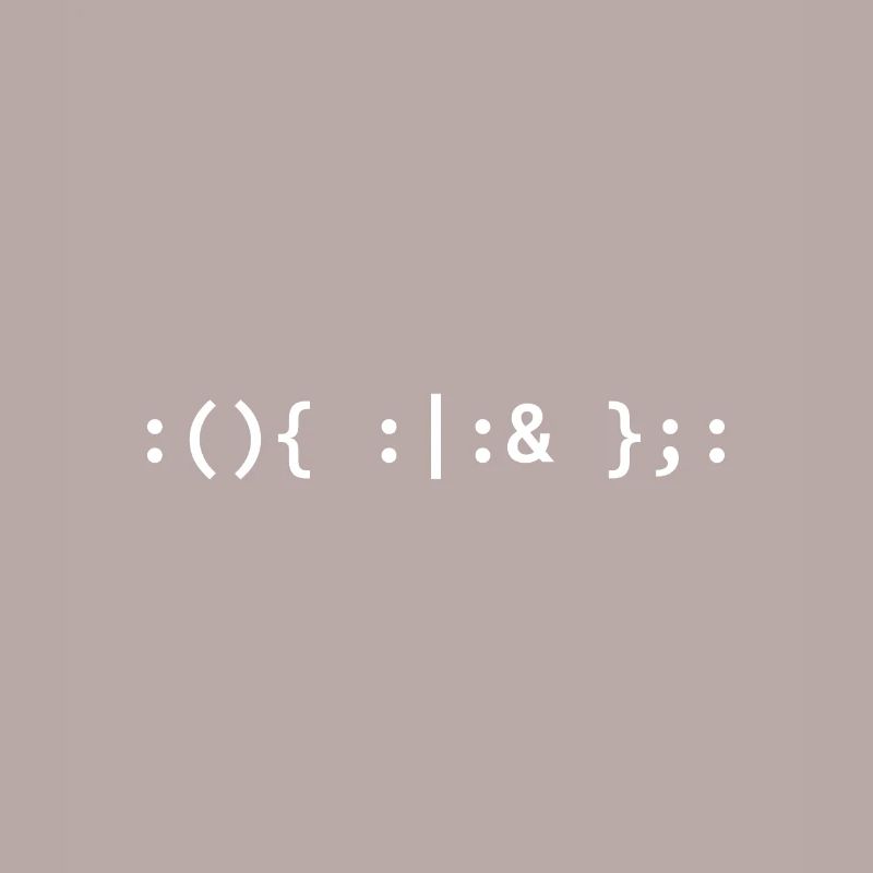 Bash Fork Bomb - Text for Unix / Linux Hackers