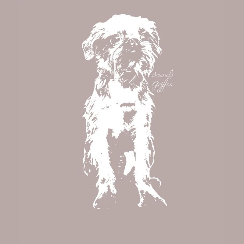 Belgian dwarf griffon