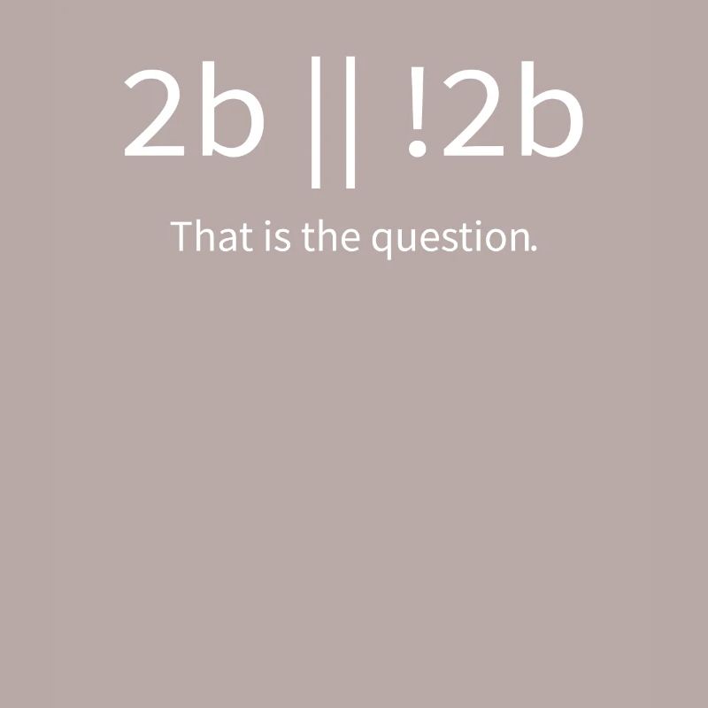 2b lustiger cooler Programmierer sein oder nicht sein