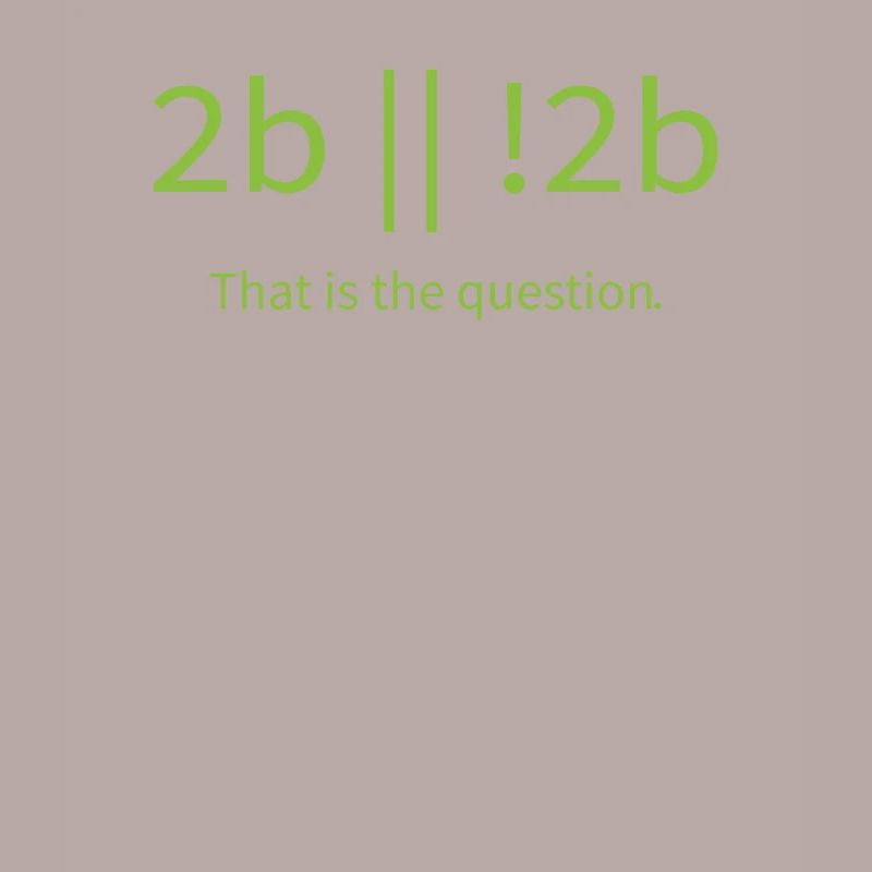 2b lustiger cooler Programmierer sein oder nicht sein