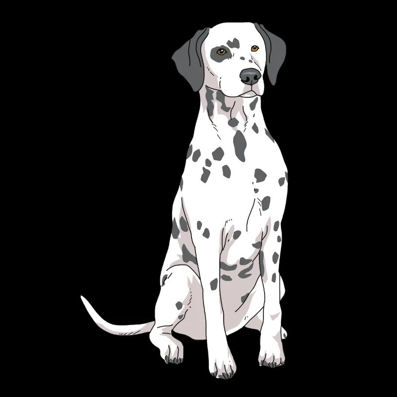 Dalmatiner Hund