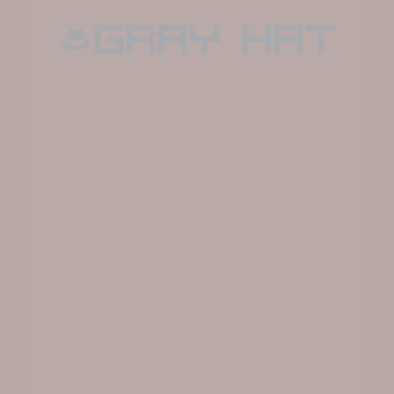 Grey Hat Hacker Typ